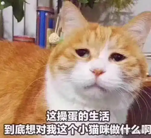 如果分手一年半后,前男友突然联系我,该怎么办