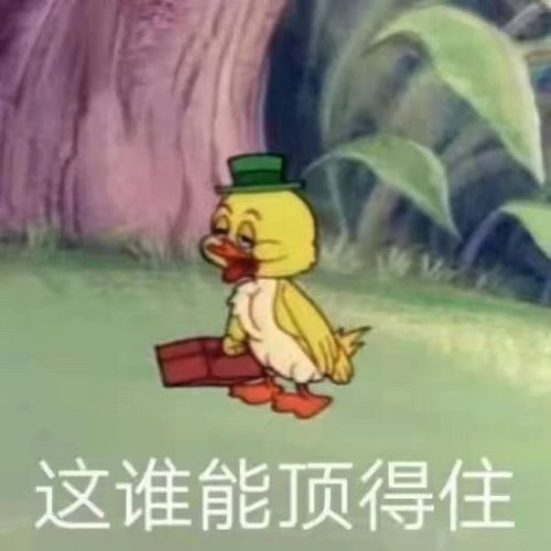  热门表情包图片谁能顶得住