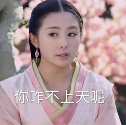  张含韵兰陵王妃gif表情包我来啦