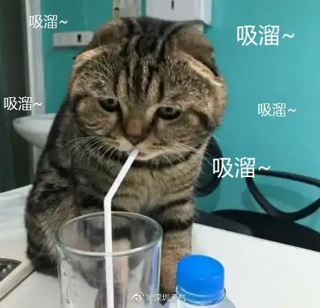 昨晚共赏金星伴月,今早变身速冻穿搭博主深圳人是你吗