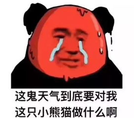 晒太阳图片可爱表情包高
