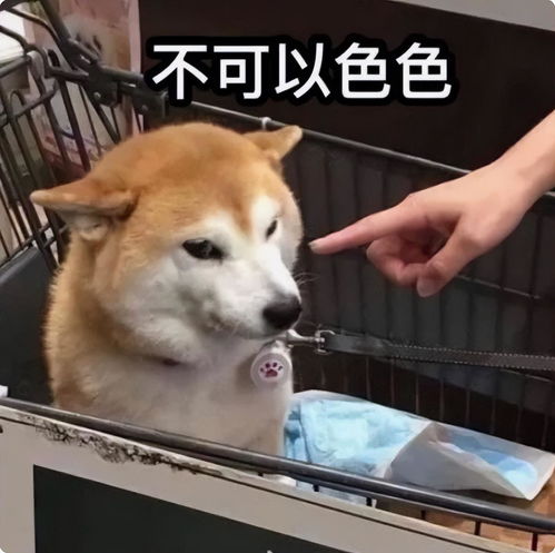  qq大规模被盗号,原因众说纷纭,但有一个相同点