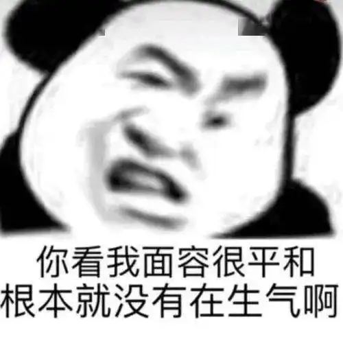  熊猫头表情包i对不起你是一个好人