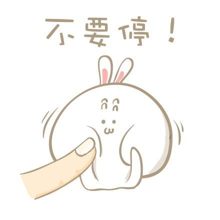  猫咪戴工程帽gif猫咪gif工程表情