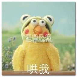  如果我生气了你怎么办表情包图片如果我生气了你怎么办搞笑图片大全无水印版软件下载