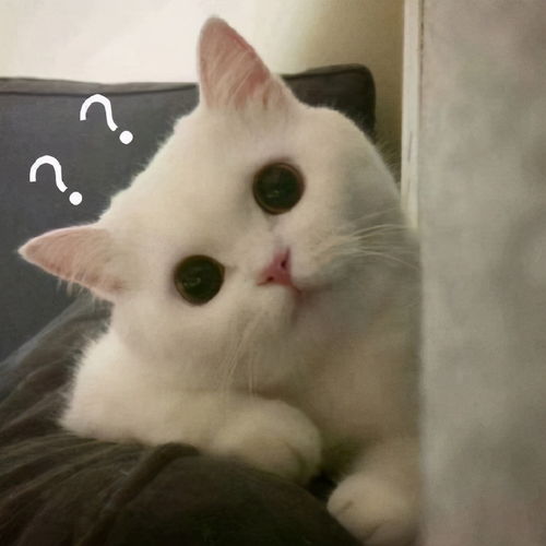  一脸懵比是什么意思,一脸懵比表情包