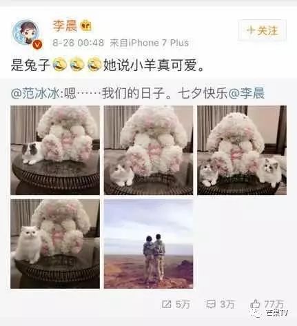  diss芭莎张若昀唐艺昕,井柏然倪妮的第一次公开撒糖可都在这儿啊