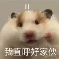  沙雕搞笑表情包好羞涩呢