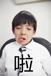  组图行走的表情包董洁儿子鬼马机灵超可爱