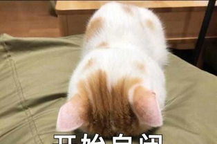  ios升级12的新功能,很强大很实用