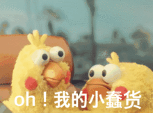  社保断缴是不是就算白缴哪些不会清零断缴后怎么办不知道你就亏了