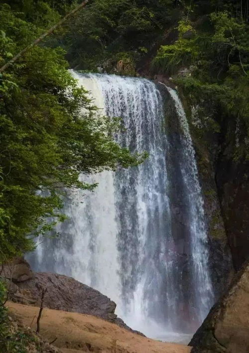  5a景区直达醉氧在山水好风光里
