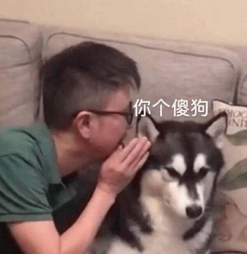  千万不要在深夜和姐妹聊八卦否则哈哈哈哈
