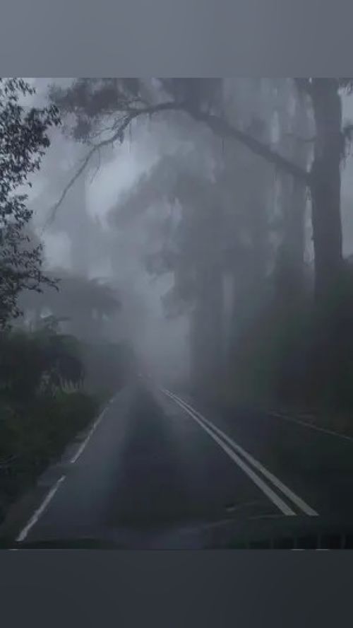  寂静感的氛围既孤独又享受.