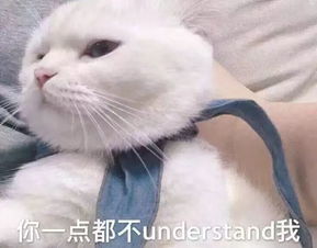  室友的超能力让我