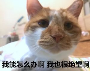  2017年度表情大赏总有一个是你最爱