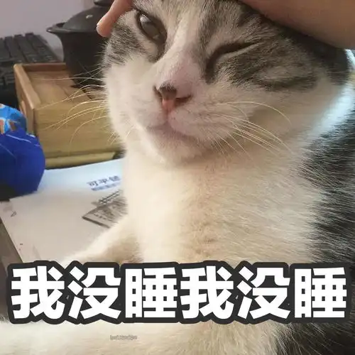 你以前很宠我的表情包