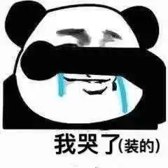  奇装异宠我一个大狮子,为啥不给我狂暴