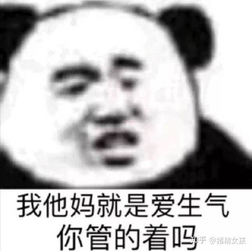  沙雕是如何炼成的