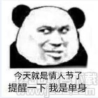  熊猫头情人节暗示qq表情熊猫头情人节暗示表情包高清版jz5u绿色下载站