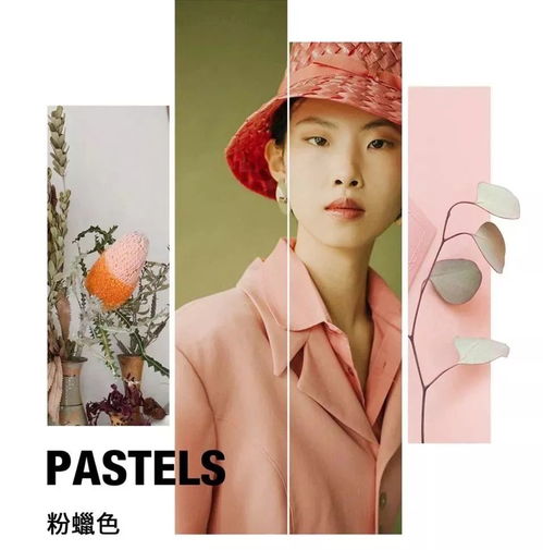  201920秋冬色彩分析