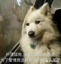  2018年度最火网络用语