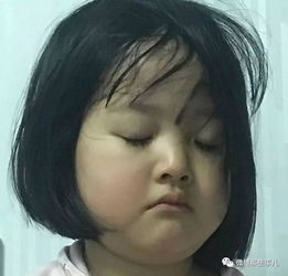  这也太有耐心了吧......................