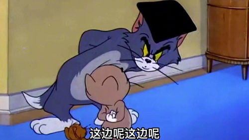  搞笑配音,猫和老鼠耗子教小猫认字,气屎小汤姆
