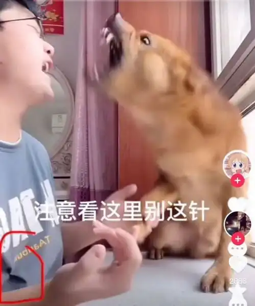 腾讯内容开放平台
