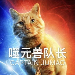 猫可爱表情包噬元兽