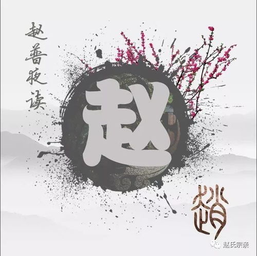 微信头像大全赵姓