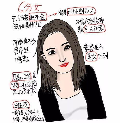  2019蒸贴给自己打分标准