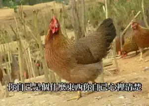  鸡年到了,这全套鸡年表情包,您要收到起