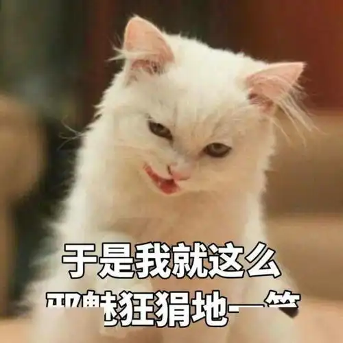  想成为英语高阶学者,这一步必不可少