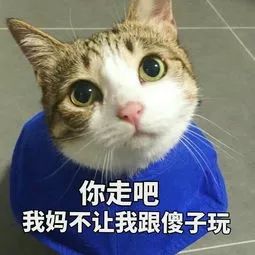  快来斗图第一弹