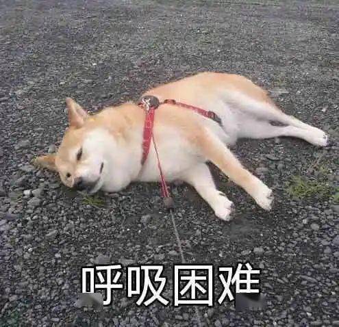  发现一个定律喝奶茶能够增强记忆力段子