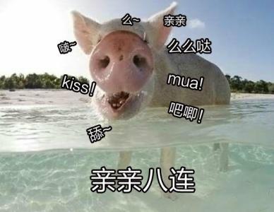  新年暴雪送好礼,魔兽打折季给你惊喜