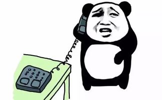 鼓掌表情包图片大全过生