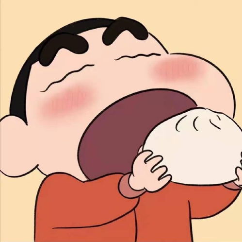  没人可以拒绝小新没有人