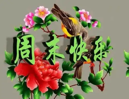  周末愉快早上好图片动态表情祝福周末早上好问候语图片带字大全