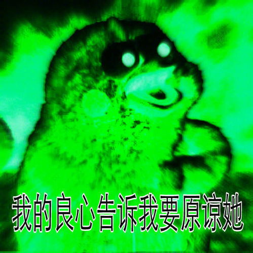  我们仙女不需要良心堆糖,美好生活研究所