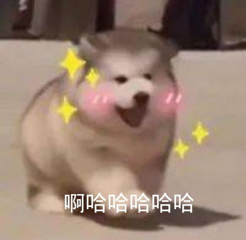 男人最吉利微信头像声声