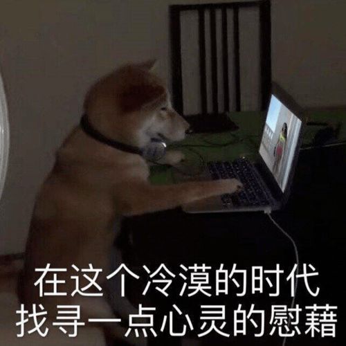 gif爆笑图片画画的baby,小偷来我家做饭偷酒就算了,撕我孩子暑假作业算什么