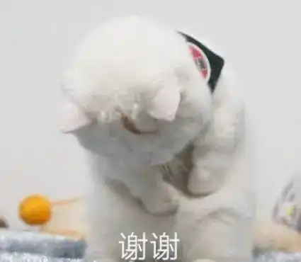 感谢别人的表情包怎么办