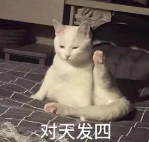  峡谷风云榜西安防疫靠发誓不不不,这是段子