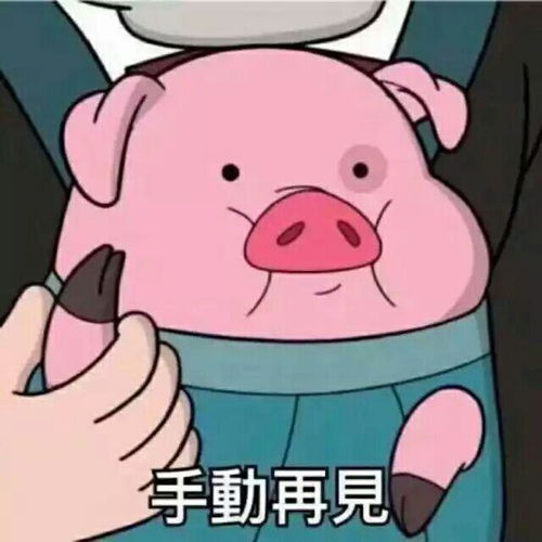  如果你是一个明星,面对网络上铺天盖地的谩骂,你能坚持下去么