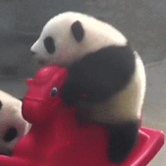  怎么快速入睡