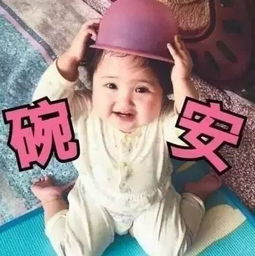  小刚几表情包合集