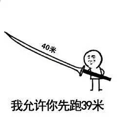  我允许你先跑39米表情包升级版