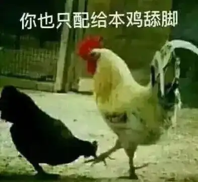  当代女人的日常,真不是精致这么简单